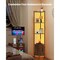 5-Tier Black Brown Wooden Adjustable LED Lights Corner Shelf with Doors and Metal Frame for Living Room